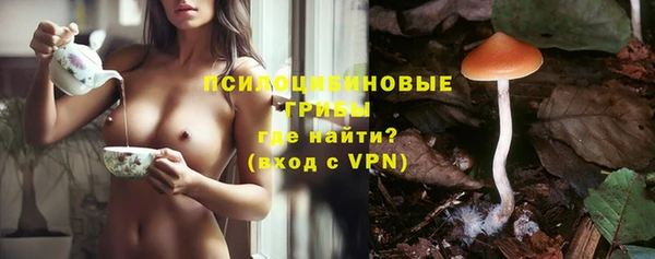 тгк Алзамай