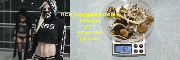 тгк Алзамай