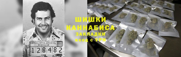дурь Алексин