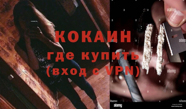 дурь Алексин