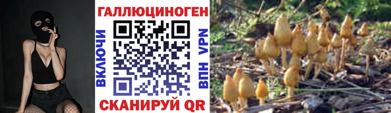 Галлюциногенные грибы Psilocybe сколько стоит Нижнеудинск